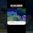ホーホー発見💡/ぽこあポケモン