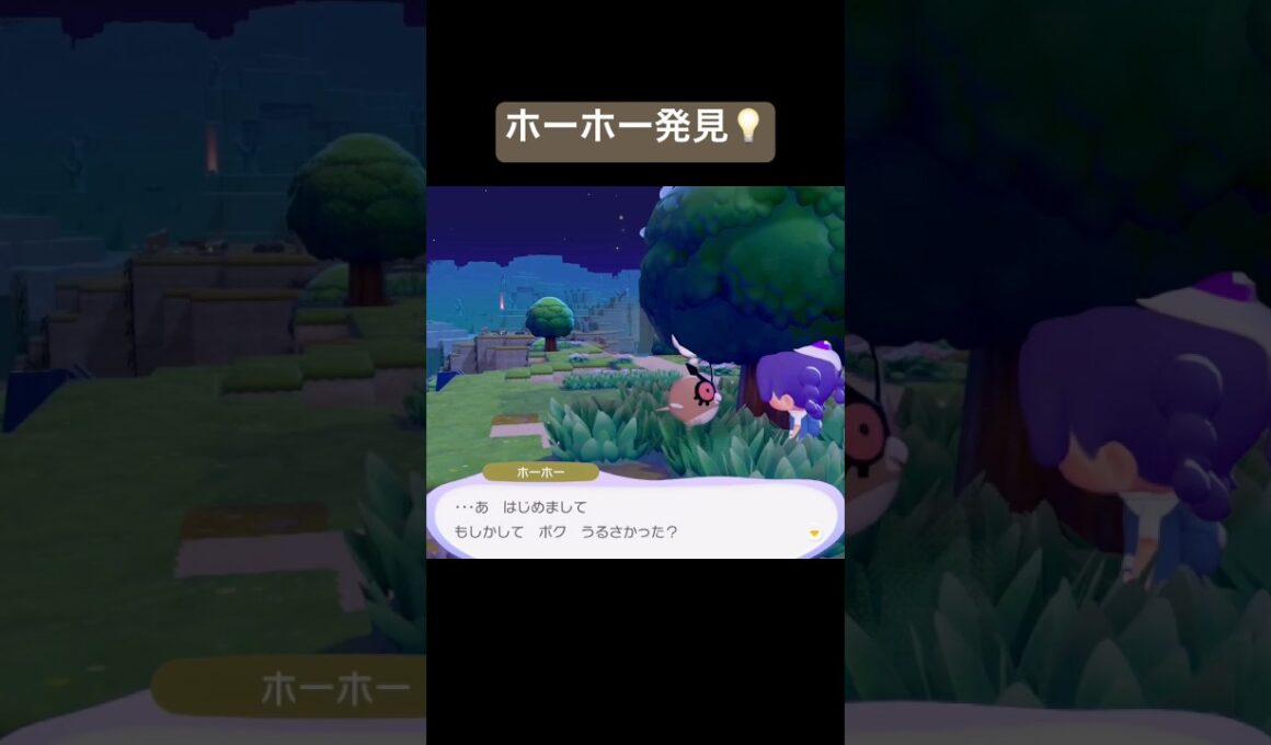ホーホー発見💡/ぽこあポケモン