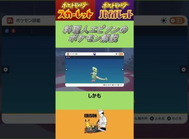 エビソンのポケモン解説254　#ポケモン #ポケモンsv #スカーレットバイオレット #キノガッサ
