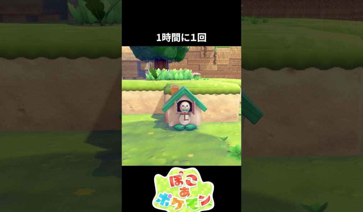 【ぽこあ】モクロー時計の珍しい瞬間【ポケモン】 #ぽこあ #ポケモン