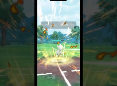 熱風が強すぎるトゲチック！