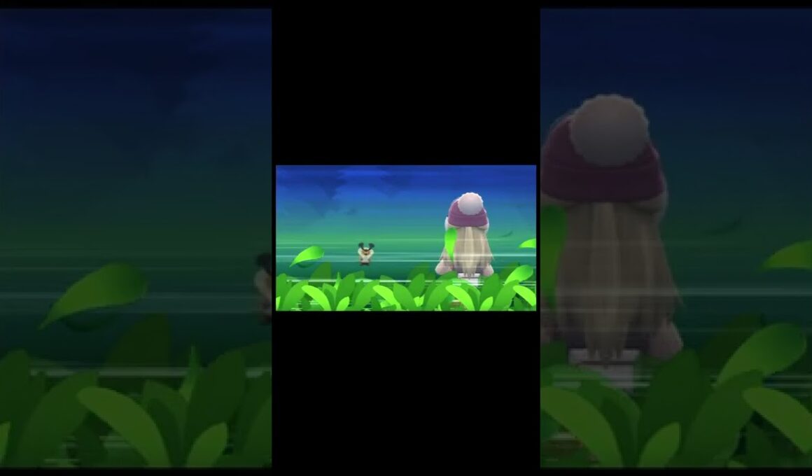 こいつはなんも言うことない【シンオウ色違い図鑑完成計画】コロボーシ捕獲