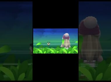 こいつはなんも言うことない【シンオウ色違い図鑑完成計画】コロボーシ捕獲