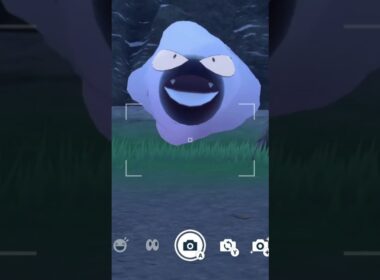 ゴースを愛でるかい #ポケモン #ゴース