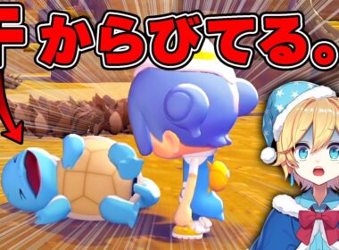 うちの島のゼニガメが問題児すぎて終わったww【ぽこあポケモン】