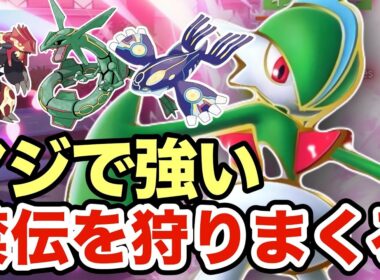 【ポケモンZA】禁伝ポケモンを狩りまくるエルレイドが最強すぎたww環境に多いレックウザ・カイオーガ・グラードンをメタりますww