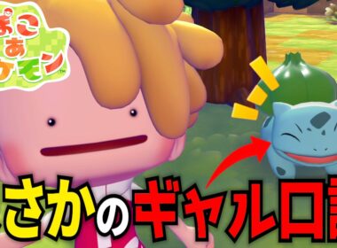 【ぽこあポケモン】ギャル口調のフシギダネに出会ってしまってハマってしまう男【実況】