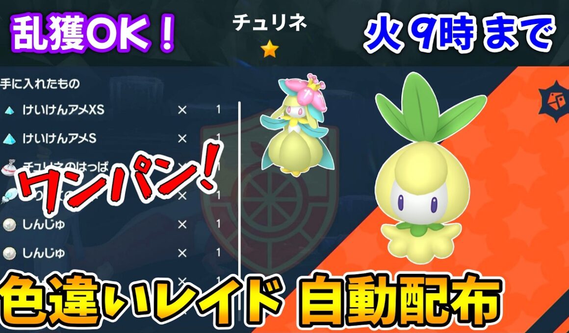 乱獲OK！チュリネ色違いレイド自動配布会！【ポケモンSV】