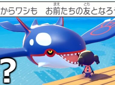 カイオーガさんと普通に友達になれる神ゲー【ぽこ あポケモン】 #2