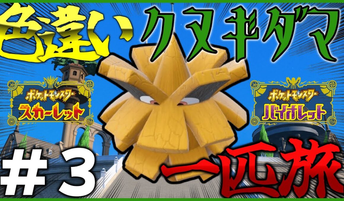 【ポケモン】色違いクヌギダマ一匹でパルデアを旅する。#3【OPEN REC】