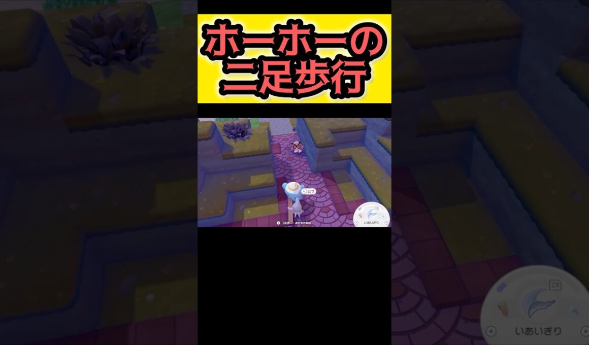 両足見えるホーホーに違和感覚える【ぽこ あ ポケモン】#ぽこあポケモン #ぽこポケ #pokemon #ポケモン