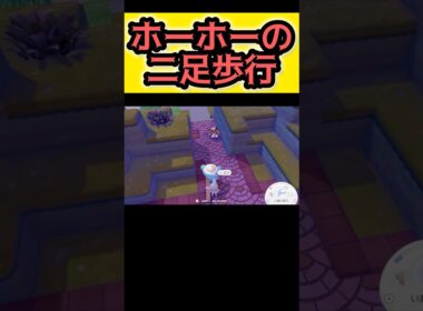 両足見えるホーホーに違和感覚える【ぽこ あ ポケモン】#ぽこあポケモン #ぽこポケ #pokemon #ポケモン