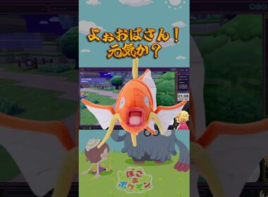 コイキングとビークインの関係を真剣に考察する男【ぽこ あ ポケモン】#ツナカン #ぽこあポケモン #ゲーム実況