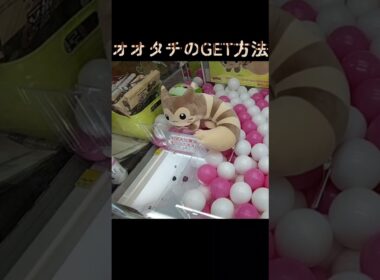 #クレーンゲーム #攻略 #ポケモン30周年 #ポケモン #オオタチ