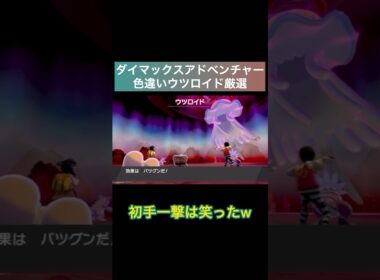【ポケモン剣盾】ダイアドで色違いウツロイド厳選