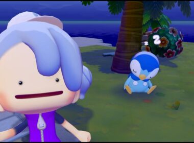 『ぽこ あ ポケモン』だけやって生きたい【#2】～ポッチャマと会いました～