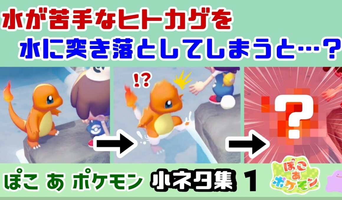 【ぽこポケ】水が苦手なヒトカゲを水に突き落としてしまうと……大変な事に！？ゲームに隠れた細かすぎる小ネタ集！【ぽこあポケモン】【Switch2】@レウンGameTV