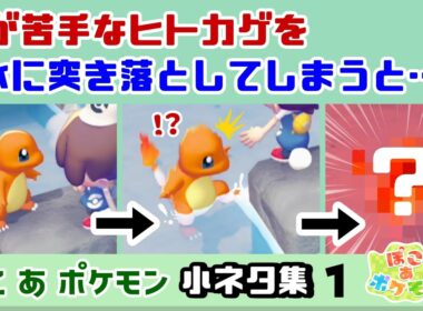 【ぽこポケ】水が苦手なヒトカゲを水に突き落としてしまうと……大変な事に！？ゲームに隠れた細かすぎる小ネタ集！【ぽこあポケモン】【Switch2】@レウンGameTV