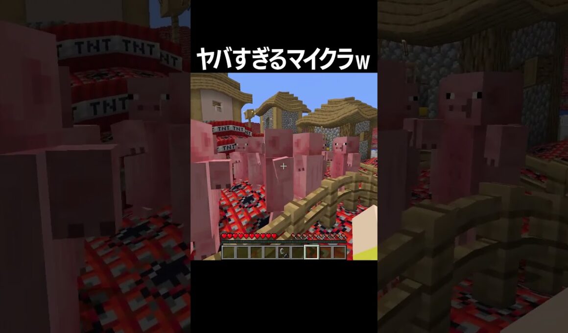 ヤバすぎるマインクラフト #shorts  #minecraft