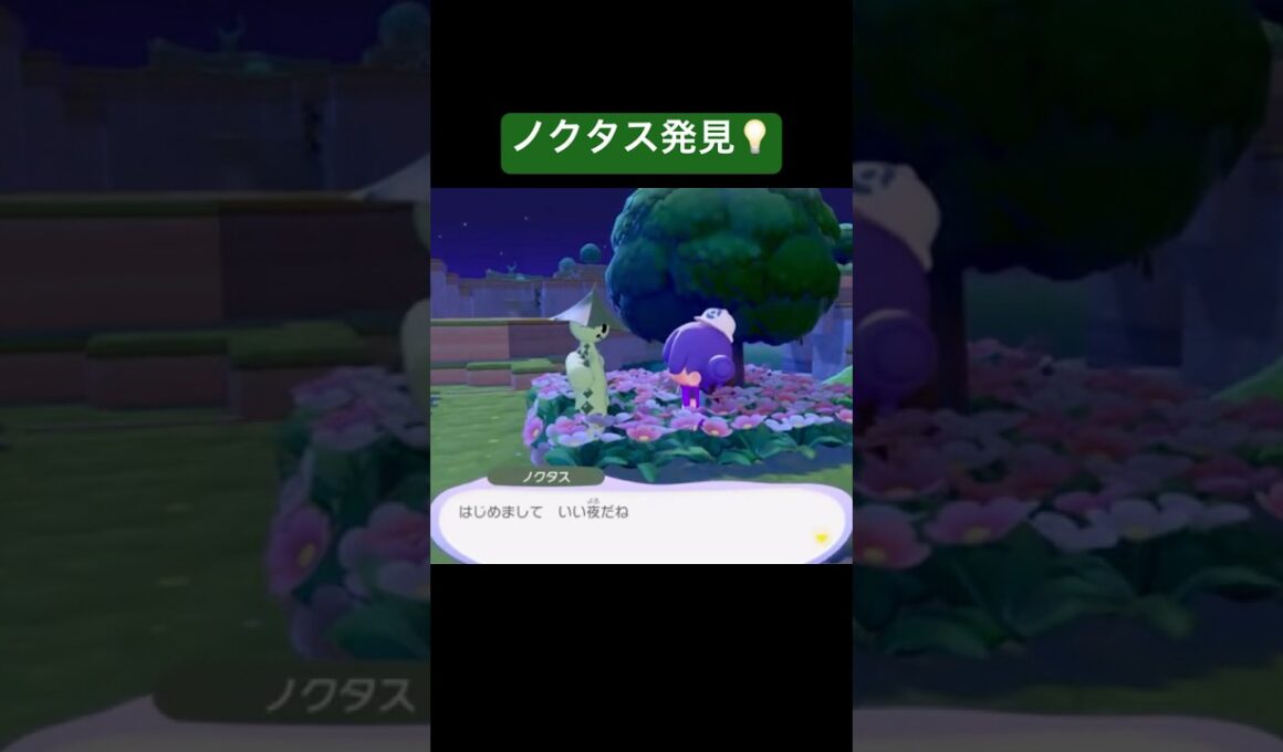 ノクタス発見💡/ぽこあポケモン