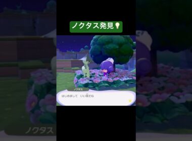 ノクタス発見💡/ぽこあポケモン