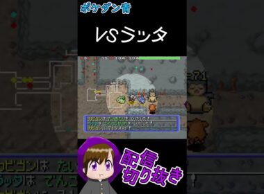 VSラッタ【ポケダン青　配信切り抜き】#shorts