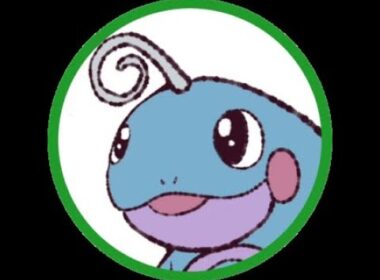 ポケモンファイアレッド 　ニョロモ　ニョロゾ　ひたすら無言で色違い厳選