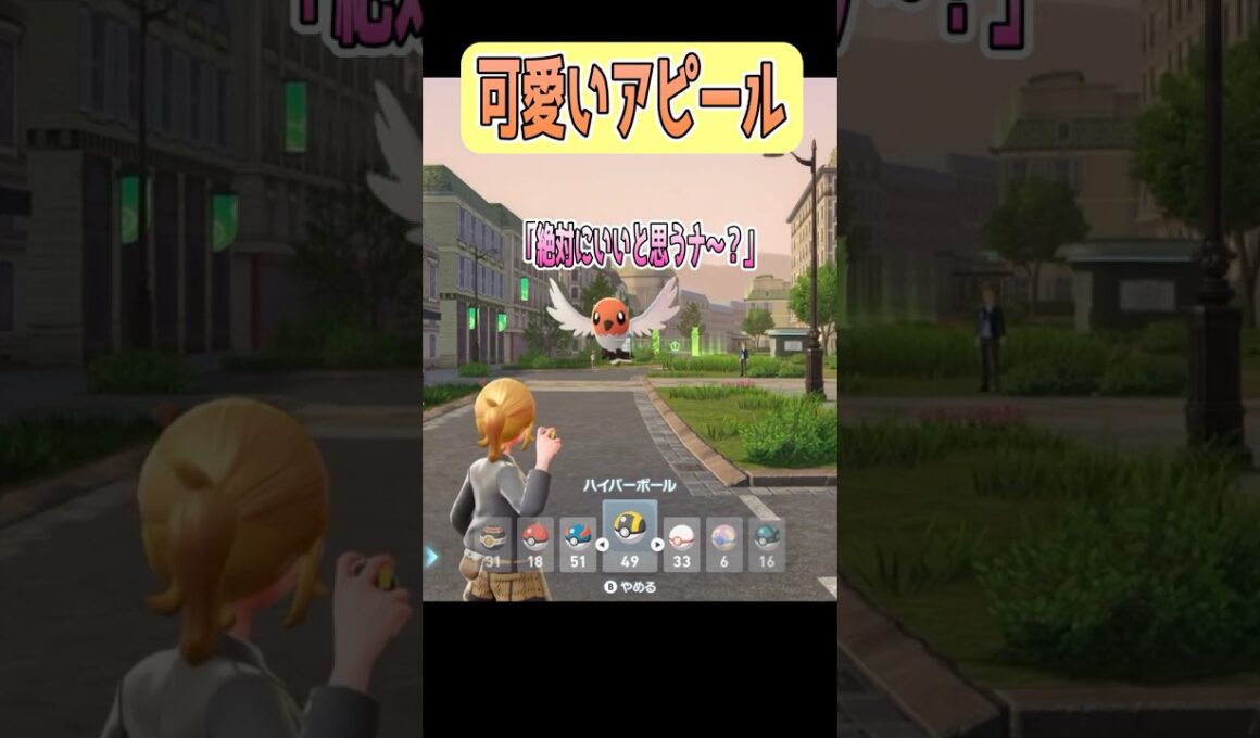 【ポケモンZA】捕まえてほしそう(?)なヤヤコマさんpart2 #shorts #ポケモンレジェンズ #ポケモンレジェンズza #ポケモン #ヤヤコマ