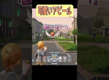 【ポケモンZA】捕まえてほしそう(?)なヤヤコマさんpart2 #shorts #ポケモンレジェンズ #ポケモンレジェンズza #ポケモン #ヤヤコマ