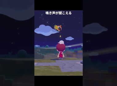 ホウオウの登場演出が最高に素敵な理由 | ぽこあポケモン/ぽこポケ