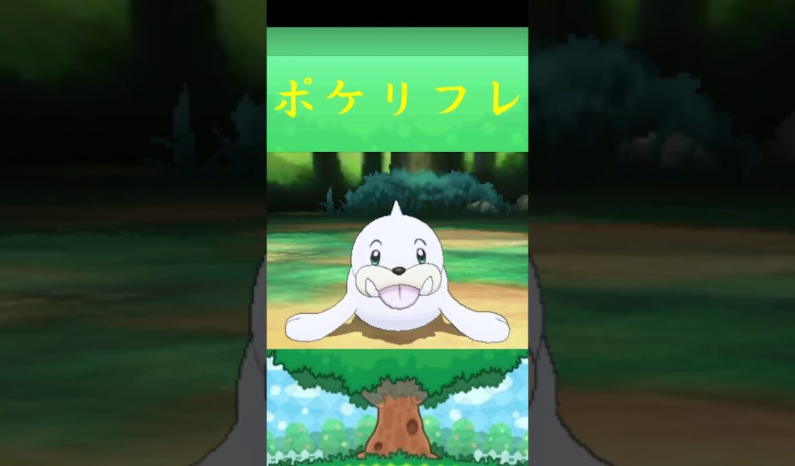 パウワウ*ポケモン ポケリフレ ポケパルレ #ポケモン #Pokemon  #3DS #nintendoswitch #ポケモンsv #ポケモン #キャンプ #サンドイッチ #ピクニック