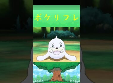 パウワウ*ポケモン ポケリフレ ポケパルレ #ポケモン #Pokemon  #3DS #nintendoswitch #ポケモンsv #ポケモン #キャンプ #サンドイッチ #ピクニック