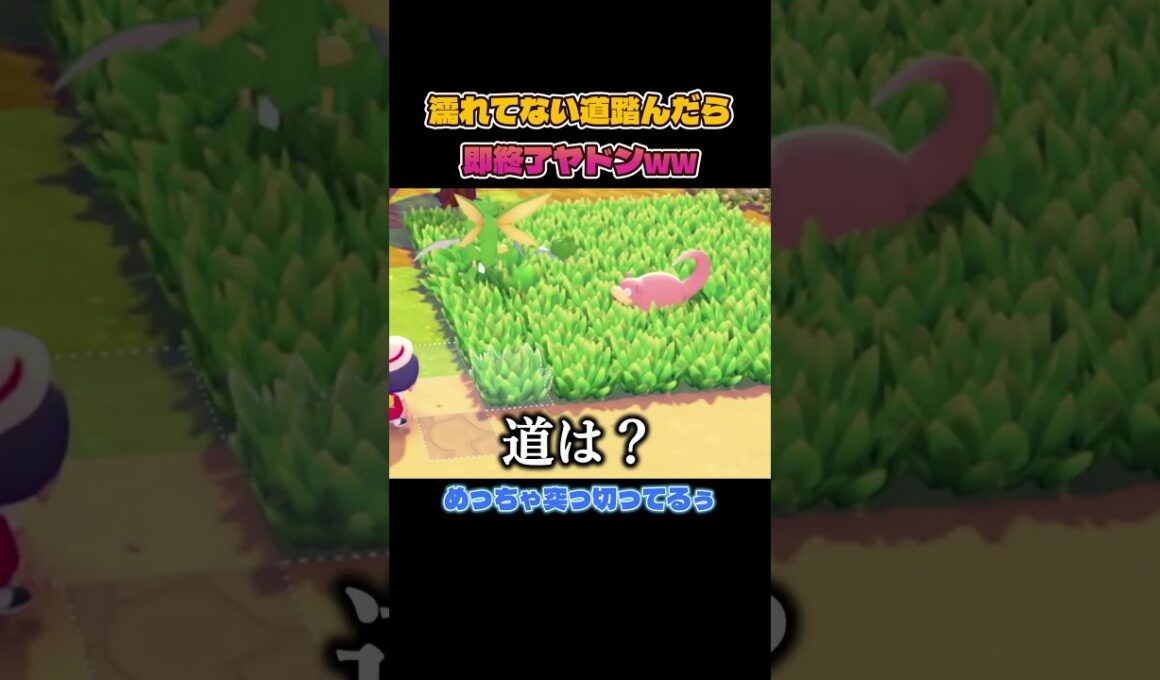 濡れてない道踏んだら即帰るヤドンの介護ww【ぽこあポケモン】