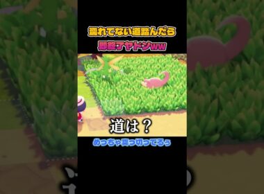 濡れてない道踏んだら即帰るヤドンの介護ww【ぽこあポケモン】