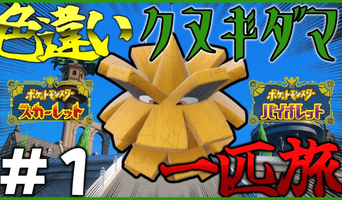 【ポケモン】色違いクヌギダマ一匹でパルデアを旅する。#1【OPEN REC】