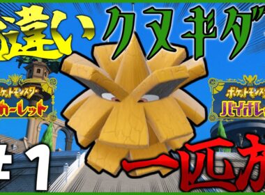【ポケモン】色違いクヌギダマ一匹でパルデアを旅する。#1【OPEN REC】