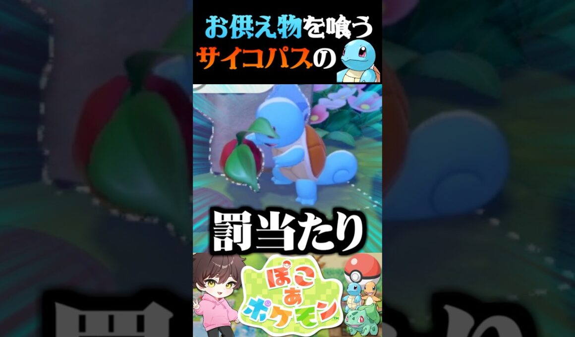 【サイコパス】お墓のお供え物を食べるサイコパスのゼニガメがヤバすぎる【ぽこあポケモン】【うさごん】