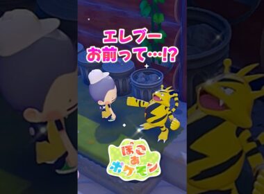 【ぽこポケ】エレブーお前まさか…!?新作『ぽこあポケモン』でレアポケのエレブーを仲間にして判明した衝撃の事実ｗ【切り抜き】 【ぽこあポケモン】#shorts