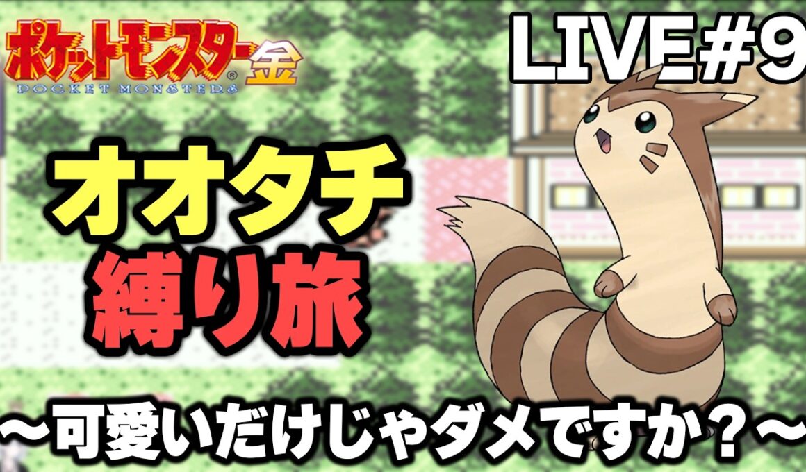 【ポケモン金銀】オオタチ縛り旅。可愛いだけじゃダメですか？【生放送part9】