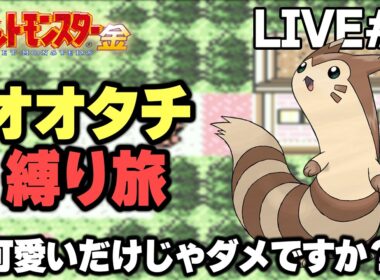 【ポケモン金銀】オオタチ縛り旅。可愛いだけじゃダメですか？【生放送part9】
