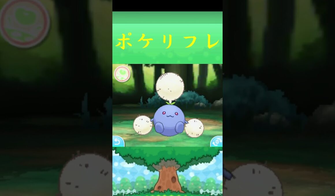 ワタッコ*ポケモン ポケリフレ ポケパルレ #ポケモン #Pokemon  #3DS #nintendoswitch #ポケモンsv #ポケモン #キャンプ #サンドイッチ #ピクニック