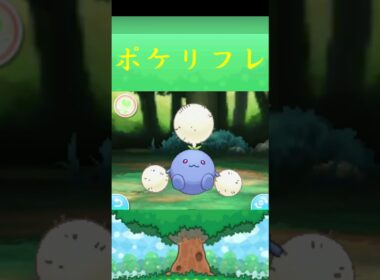 ワタッコ*ポケモン ポケリフレ ポケパルレ #ポケモン #Pokemon  #3DS #nintendoswitch #ポケモンsv #ポケモン #キャンプ #サンドイッチ #ピクニック