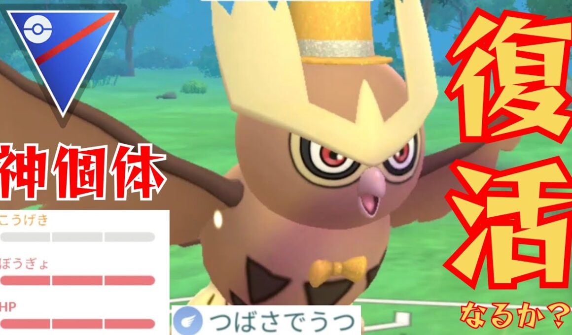 【旧世代の王者】天空の覇者ヨルノズクは再強化で完全復活なるか？！神コス個体を育成し直してみた結果www【GBL】【スーパーリーグ】