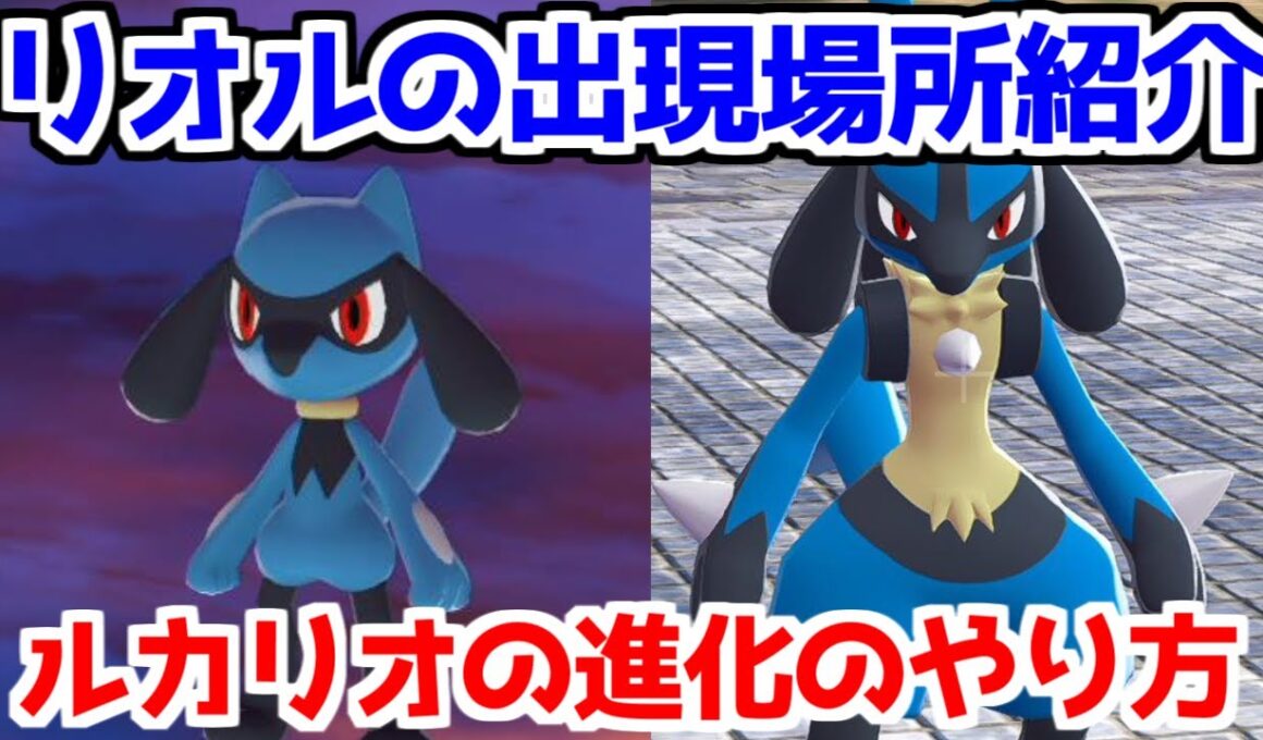 【ポケモンZA】リオル ルカリオ 出現場所 入手方法 進化方法 攻略 【Pokémon LEGENDS ジガルデ ポケモン レジェンズ ジガルデ】