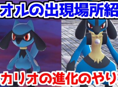 【ポケモンZA】リオル ルカリオ 出現場所 入手方法 進化方法 攻略 【Pokémon LEGENDS ジガルデ ポケモン レジェンズ ジガルデ】