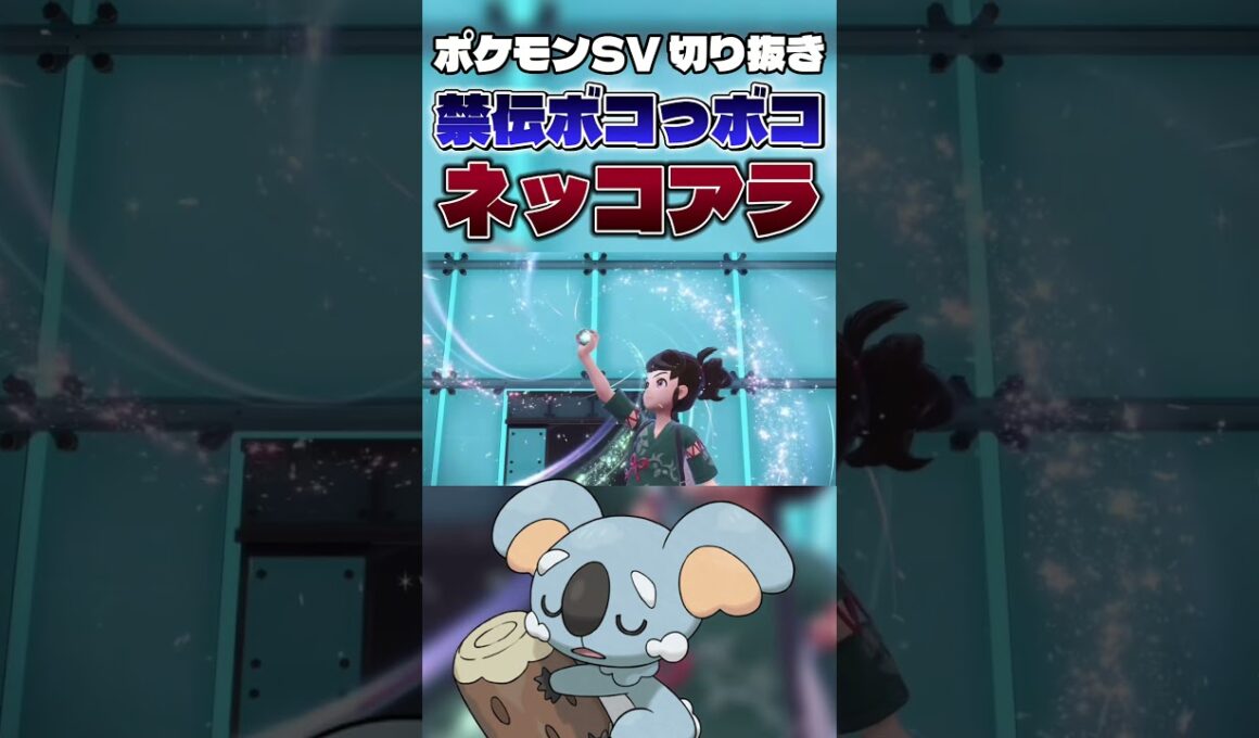【誰これ?】マイナー中のマイナー「ネッコアラ」が厨ポケを狩る!! #shorts #切り抜き #ポケモン #ポケモンsv #ポケットモンスター #pokemon