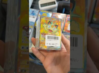 【ポケカ開封】40,560円ブロックオリパ。ニャースが一生たらねぇ