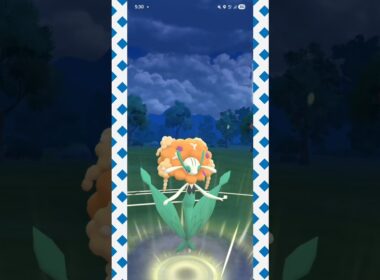 #マリルリに強く出れるフラージェス！#ポケモンgo #ポケモン #pokemongo