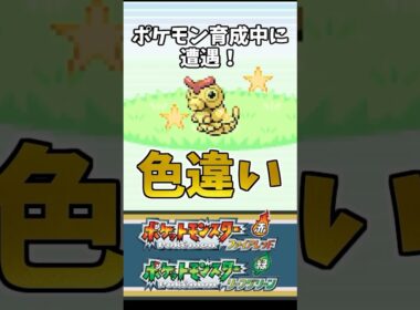 【ポケモンFRLG】ポケモン育成中に色違いキャタピーに遭遇！　#ポケモン #ポケットモンスター #ファイアレッド #shorts