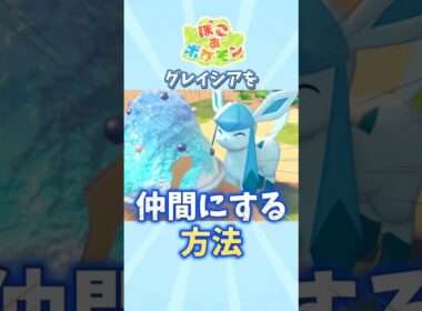 【ぽこあポケモン】グレイシアを仲間にする方法を解説【ぽこポケ】